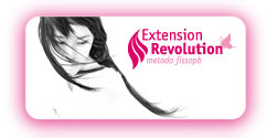 extension revolution