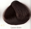 4.3 castano dorato